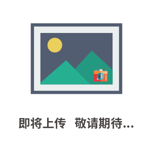 TE9200避雷器綜合試驗(yàn)臺(tái)